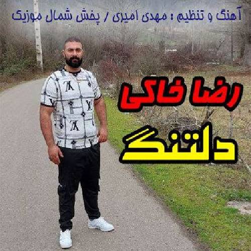 رضا خاکی دلتنگ